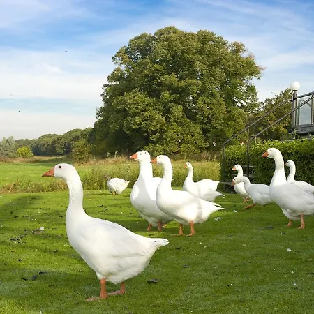 De Hamert فندق 4*