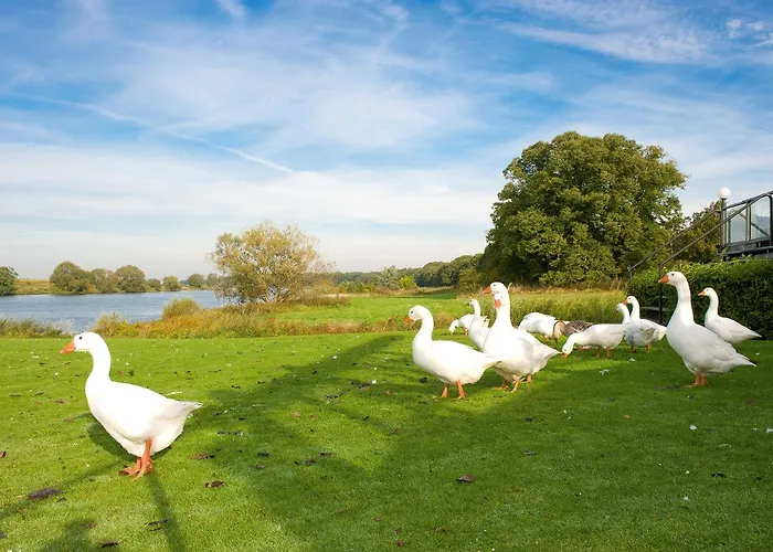 De Hamert Hotel Broekhuizenvorst